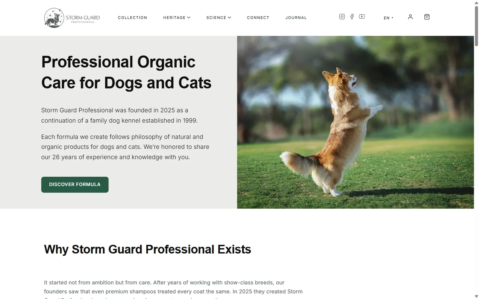 StormGuard Professional V2, Startseite, erster Bildschirm
