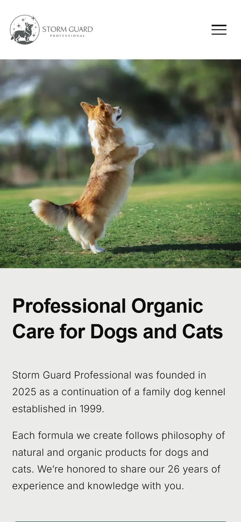 StormGuard Professional V2, Telefon, Start