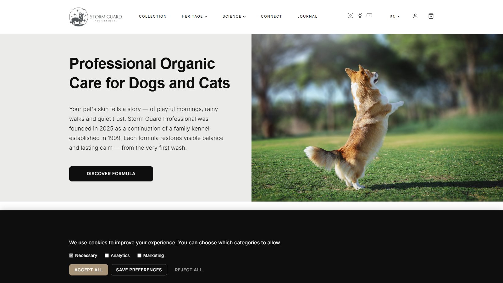 StormGuard Professional V2 — Screenshot der Website